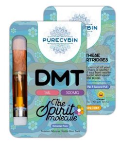 DMT 1ml Purecybin